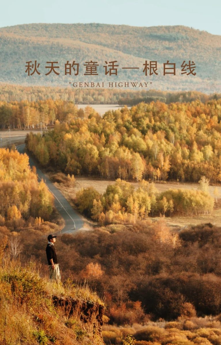 秋日浓度播报｜秋天的童话——根白线
